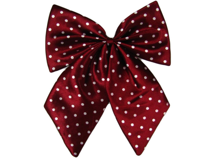 職業(yè)裝配飾