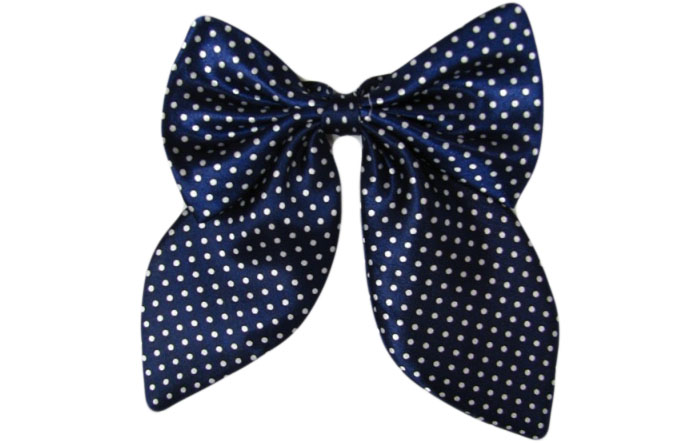 職業(yè)裝配飾