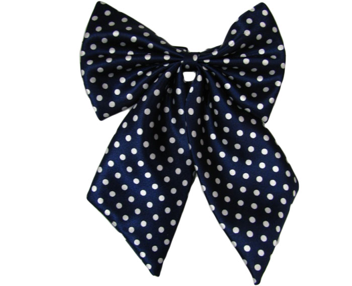 職業(yè)裝配飾