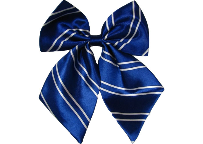 職業(yè)裝配飾