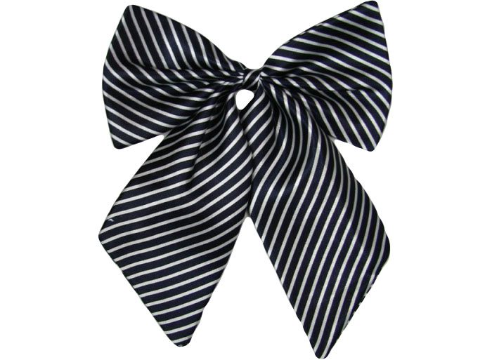 職業(yè)裝配飾