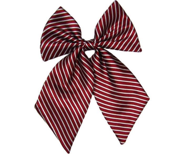 職業(yè)裝配飾