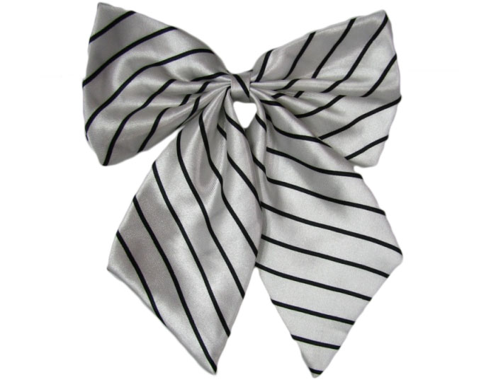 職業(yè)裝配飾