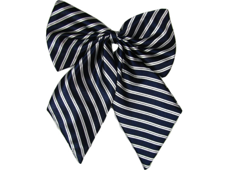 職業(yè)裝配飾